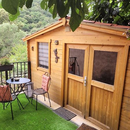 Loue Chalet De 11M2 Auribeau-sur-Siagne Exteriör bild